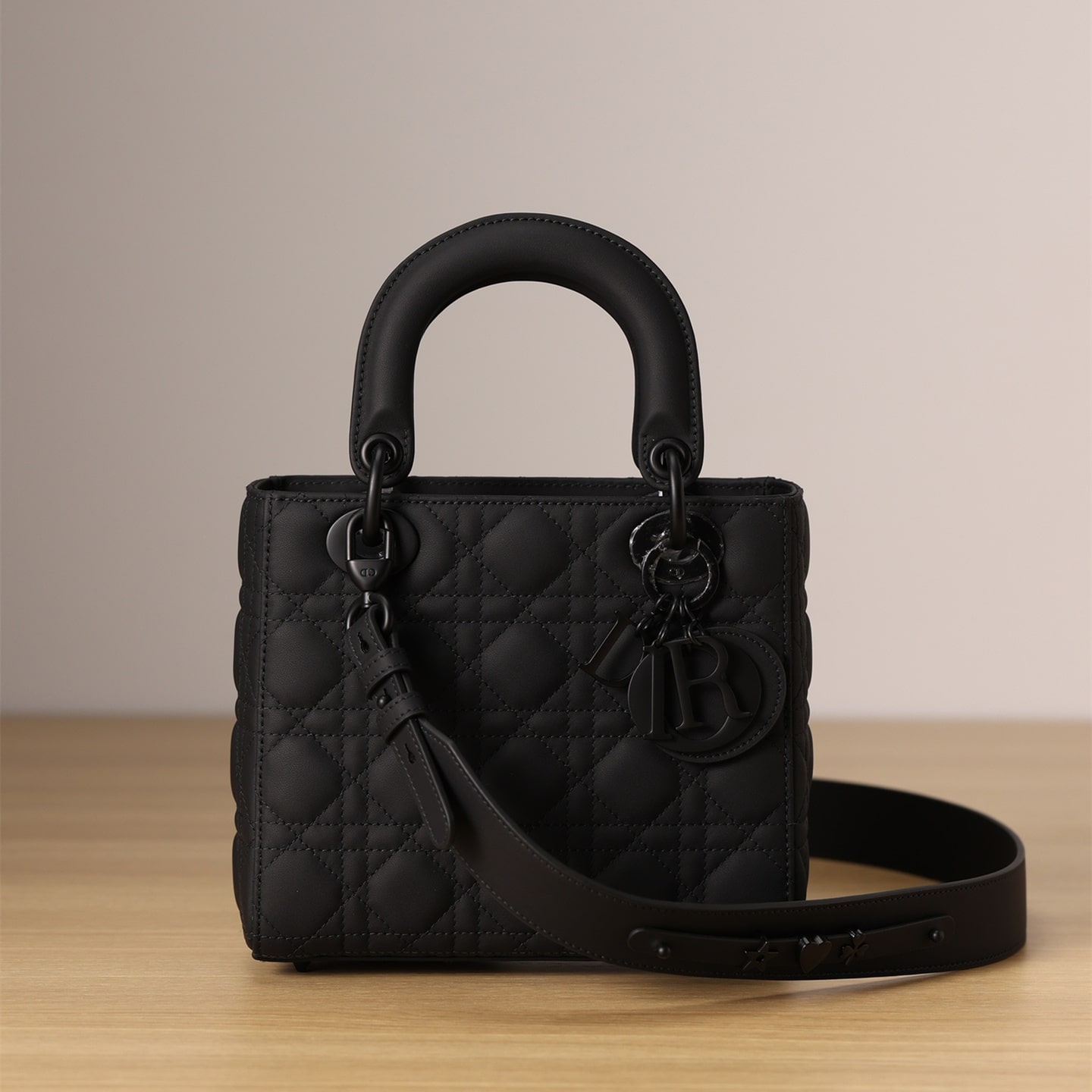 Dior Lady Series Leather Shoulder Bag Mini