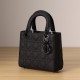 Dior Lady Series Leather Shoulder Bag Mini