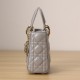 Dior Lady Series Powder Gray Lambskin Mini