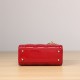 Dior Lady Series Cherry Red Lambskin Mini