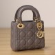 Dior Lady Series Elephant Gray Lambskin Mini