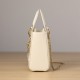 Dior Lady Series Milk White Calfskin Patent Mini