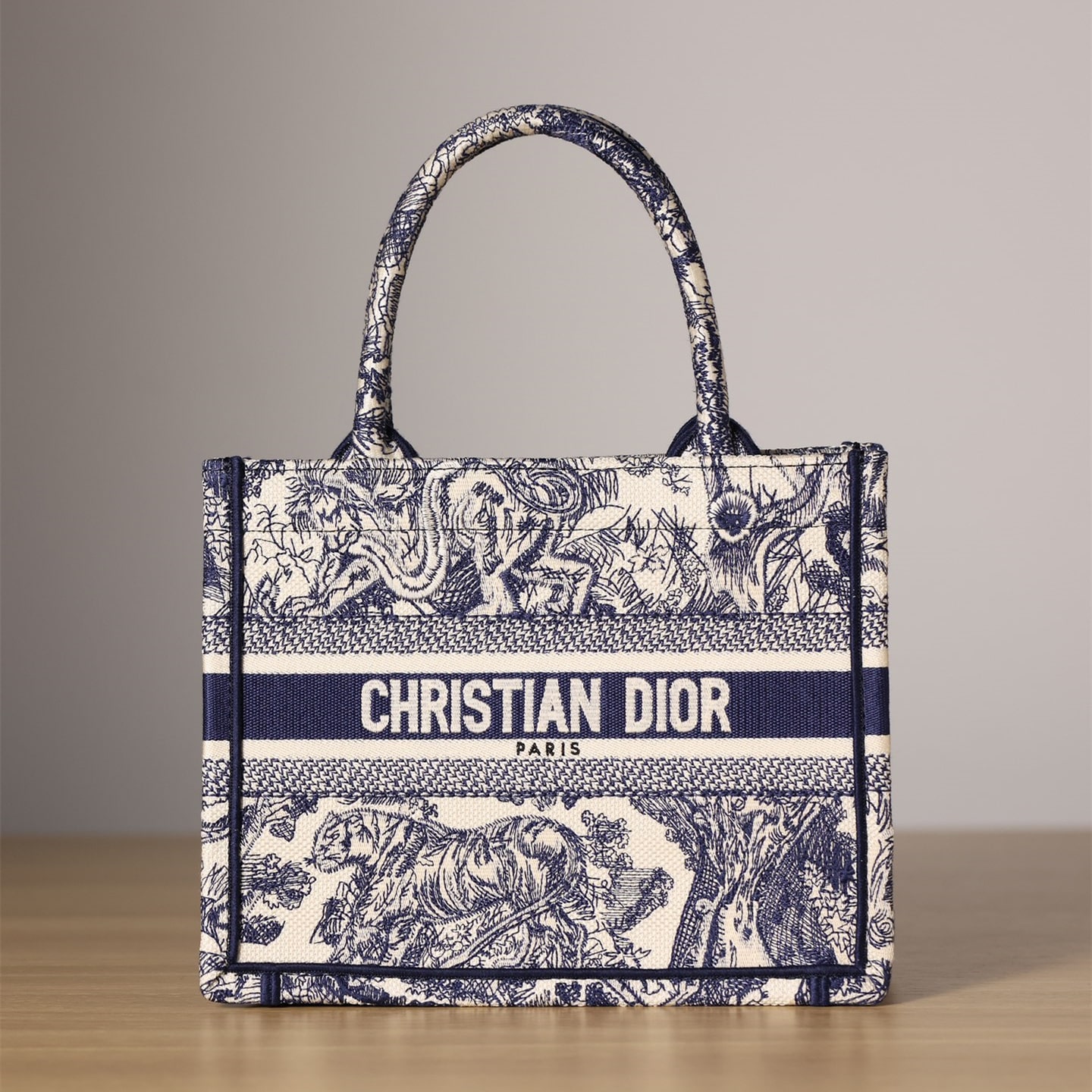 Dior Book Tote Series Blue Ruthie Handbag Small