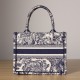 Dior Book Tote Series Blue Ruthie Handbag Small