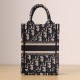 Dior Book Tote Mini Tarot Phone Bag Limited Edition