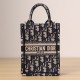 Dior Book Tote Mini Tarot Phone Bag Limited Edition