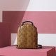 Louis Vuitton Palm Springs M44872