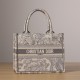 Dior Book Tote Series Ruthie Embroidery Gray Small