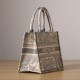 Dior Book Tote Series Ruthie Embroidery Gray Small