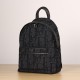 Dior Rider Series Backpack Oblique Print Black