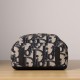 Dior Rider Series Backpack Oblique Print