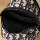 Dior Rider Series Backpack Oblique Print