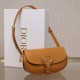 Dior Bobby Series Shoulder Bag Caramel