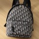 Dior Rider Series Backpack Oblique Print Medium