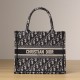 Dior Book Tote Series Oblique Print Small