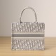 Dior Book Tote Series Oblique Print Gray Small