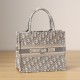 Dior Book Tote Series Oblique Print Gray Small