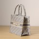 Dior Book Tote Series Oblique Print Gray Small