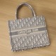 Dior Book Tote Series Oblique Print Gray Small