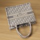 Dior Book Tote Series Oblique Print Gray Small