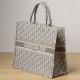 Dior Book Tote Series Oblique Print Gray Large