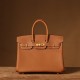 Hermes Birkin 25