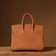 Hermes Birkin 25