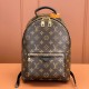 Louis Vuitton PalmSprings M44871