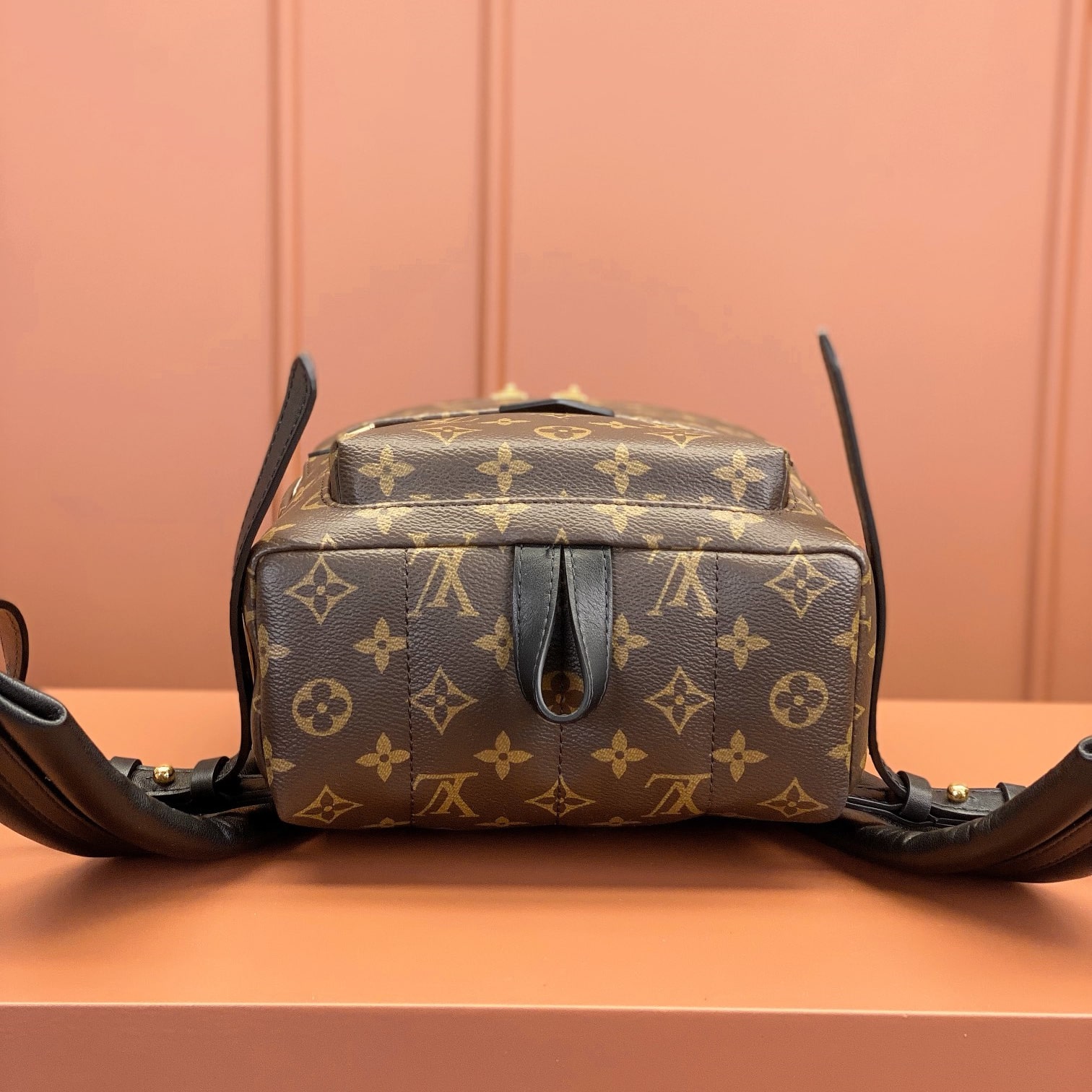 Louis Vuitton PalmSprings M44871