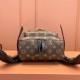 Louis Vuitton PalmSprings M44871