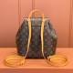 Louis Vuitton Montsouris M45501 