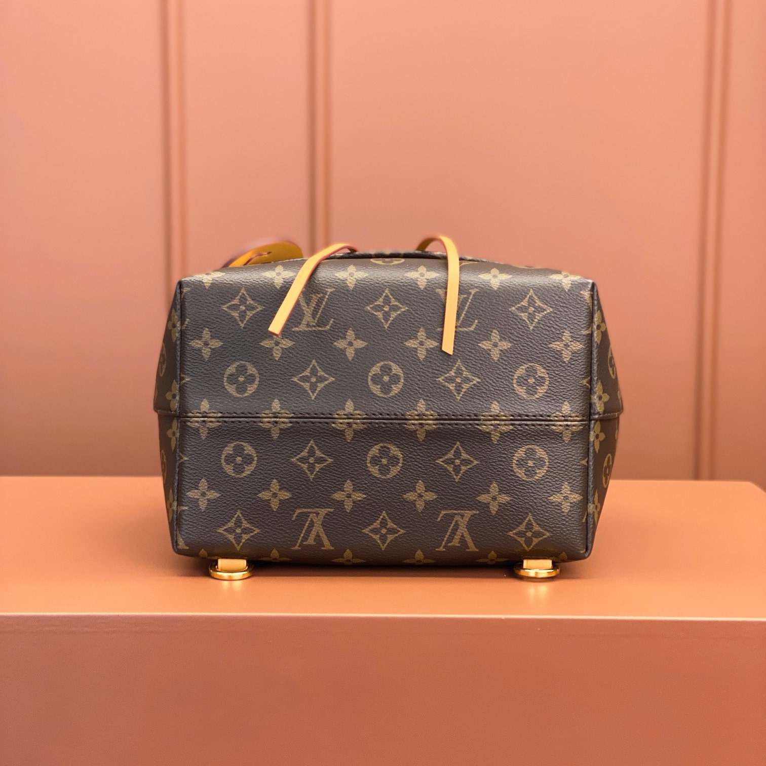 Louis Vuitton Montsouris M45501 